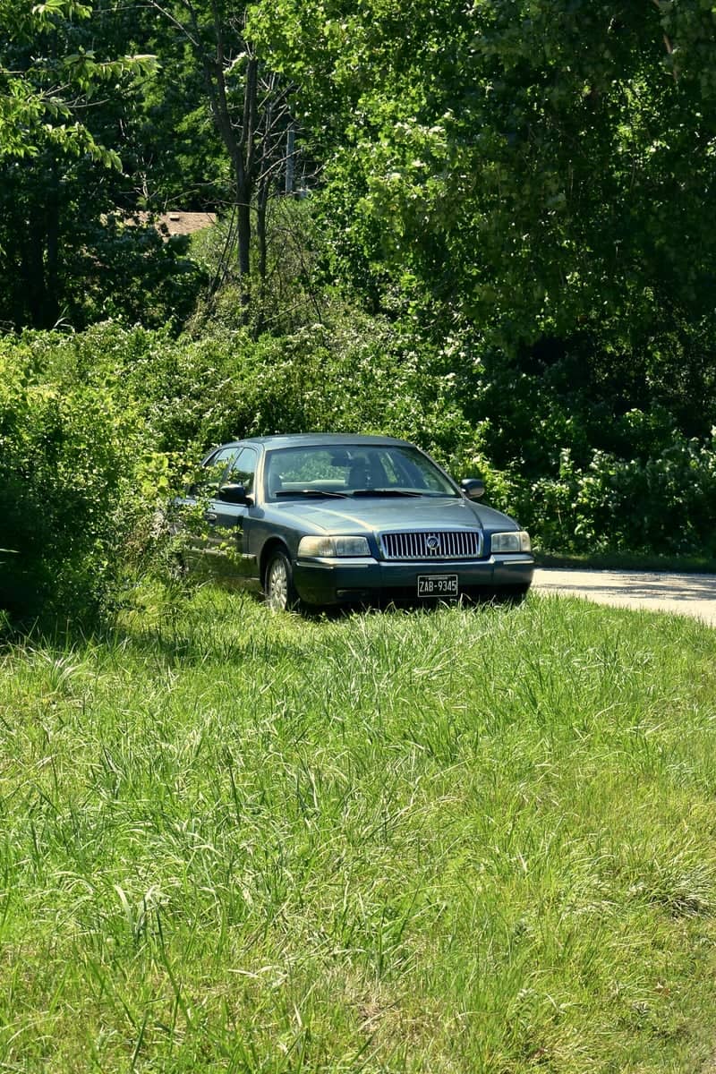 Pleasant Prairie Roadside - Image 1