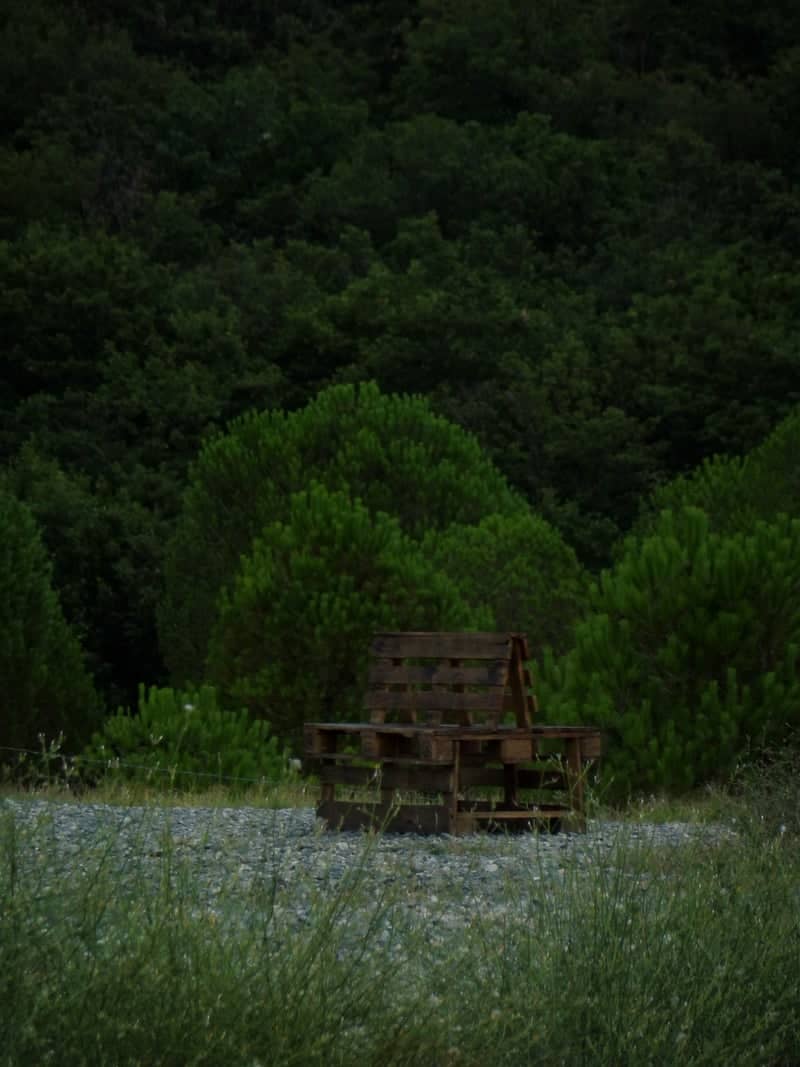 Ayvacık Forest Overlook - Image 1
