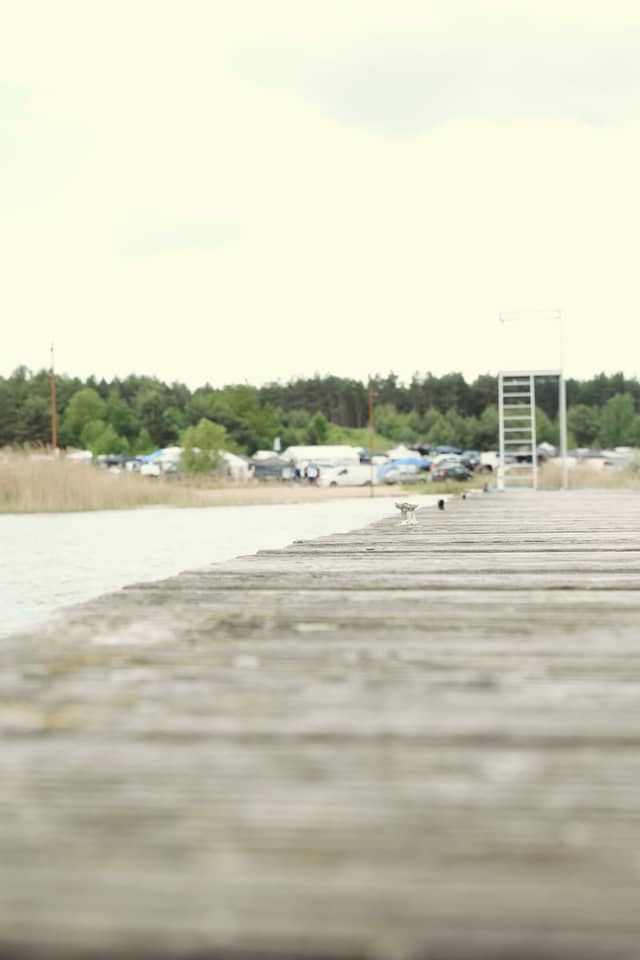 Pouch Peninsula Pier, Muldestausee - Image 1