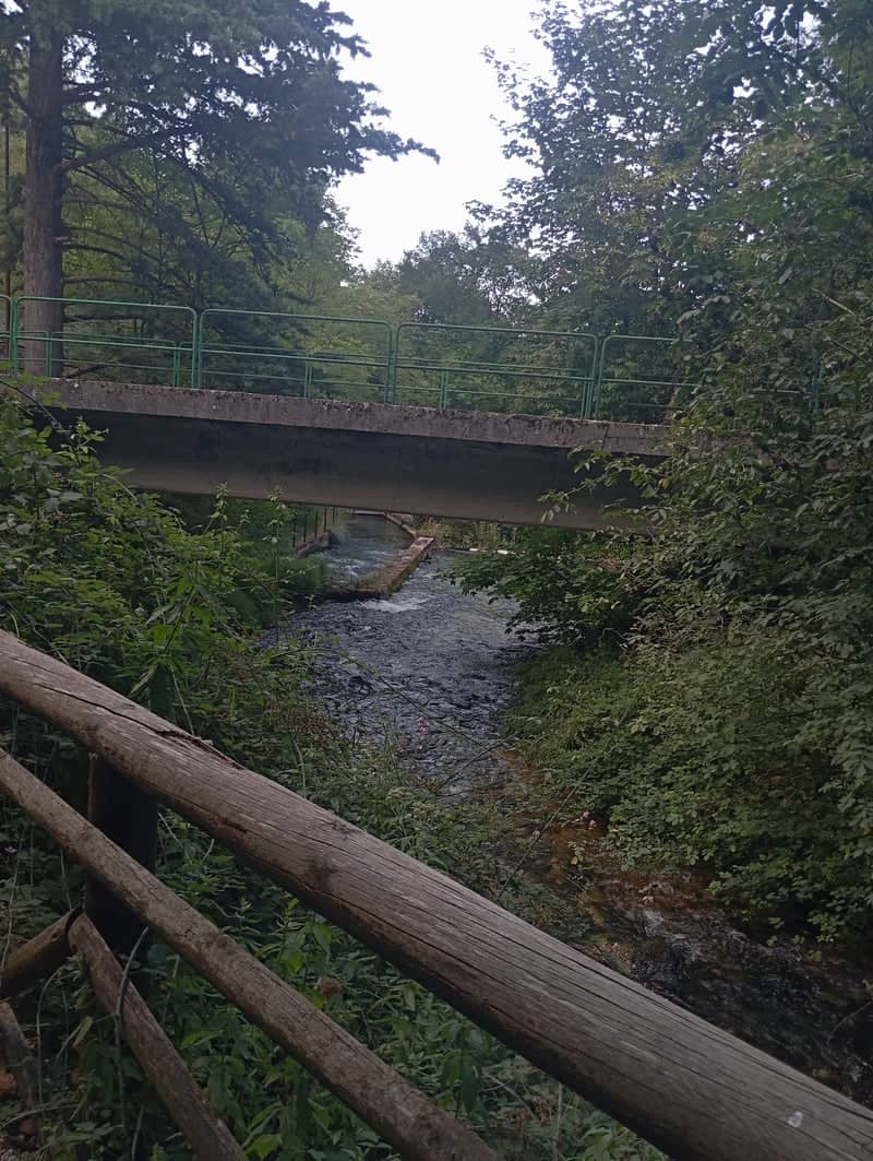 Sorgenti del Fiume Verde - Image 1