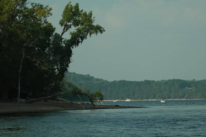 Mississippi River Shoreline, Hastings - Image 1