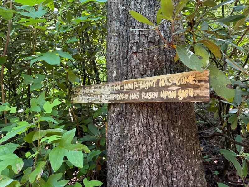 French Broad Falls - Image 4