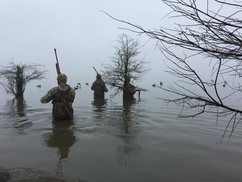 Lake Eufaula - Image 1