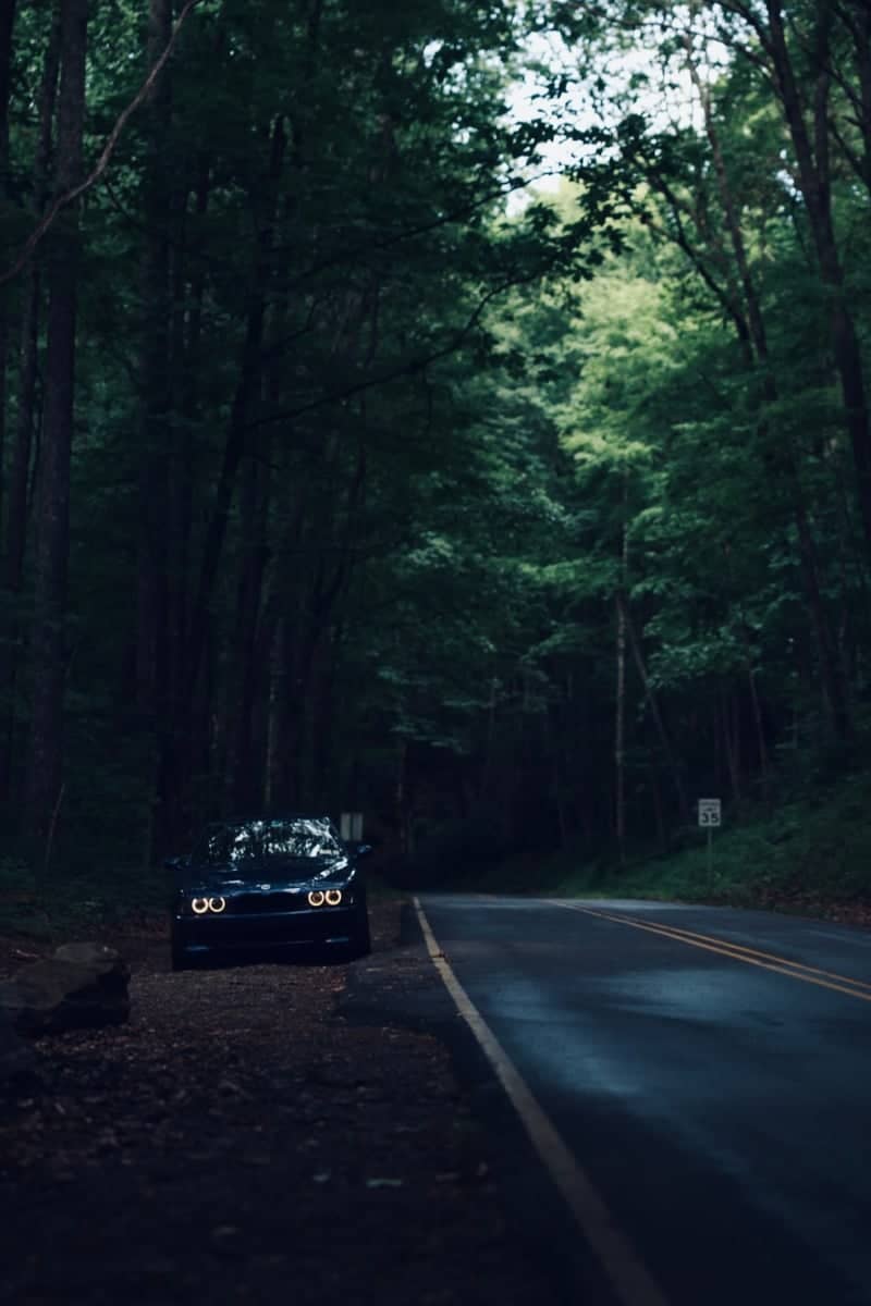 Blue Ridge Parkway Forest Road - Image 1
