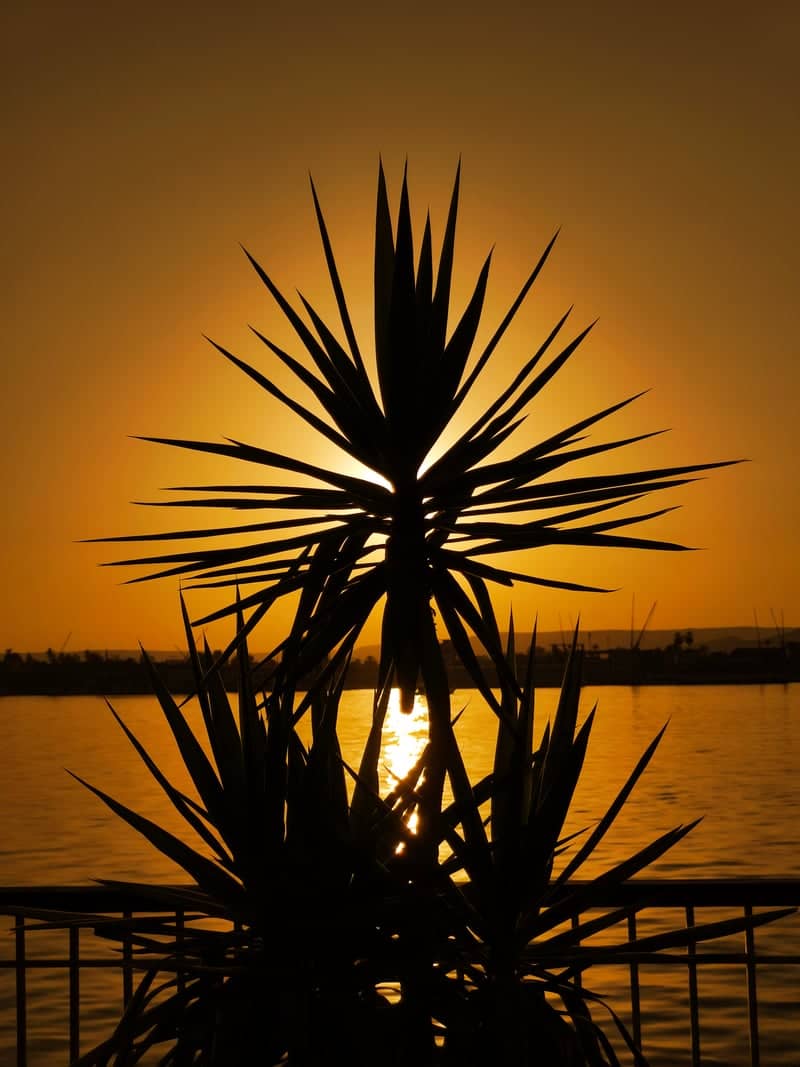 Nile River Sunset in Luxor - Image 1