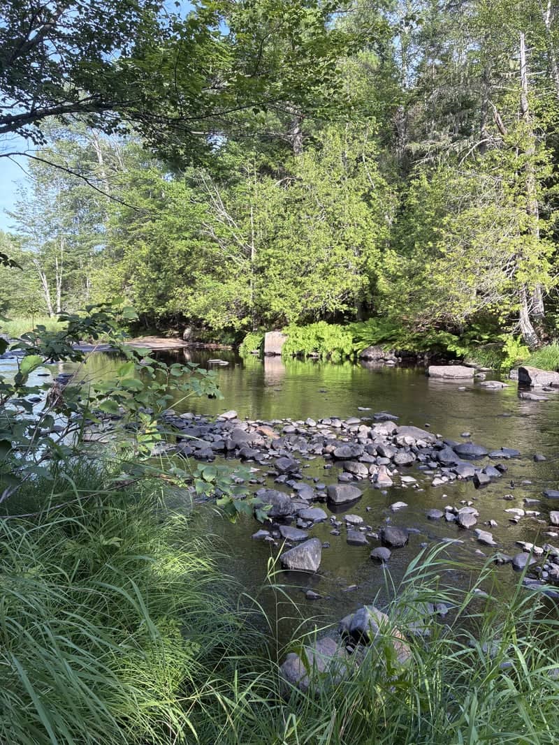 Big River Woodland Stream - Image 2