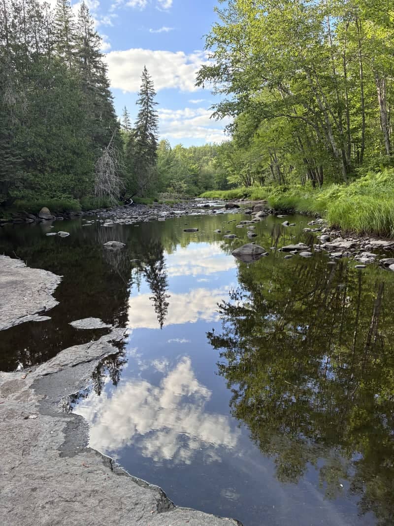 Big River Woodland Stream - Image 1