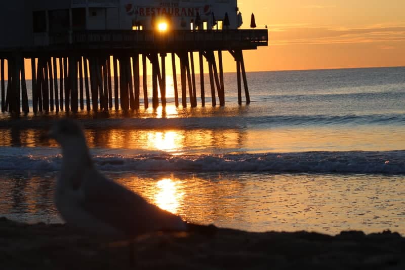 Old Orchard Beach Pier - Image 1