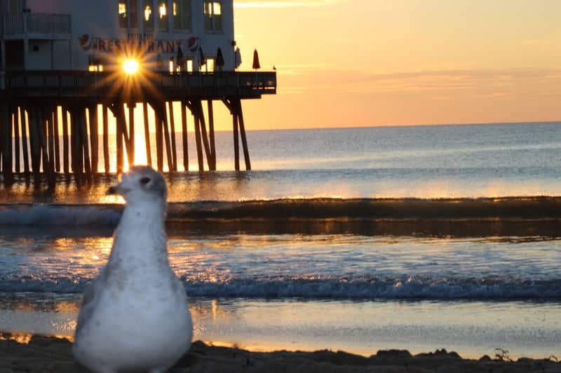 Old Orchard Beach Pier - Image 1