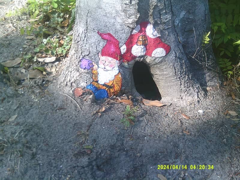 Airlie Gardens Gnome Tree - Image 1