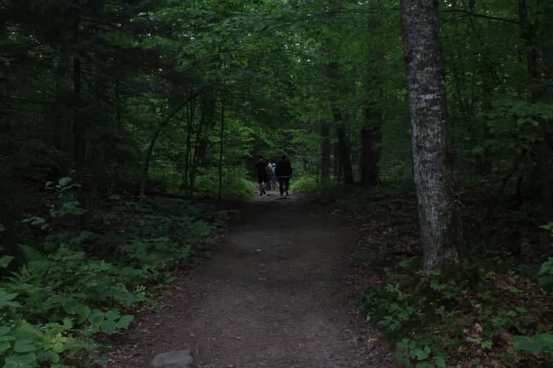 Mount Kineo State Park Forest Trail - Image 1