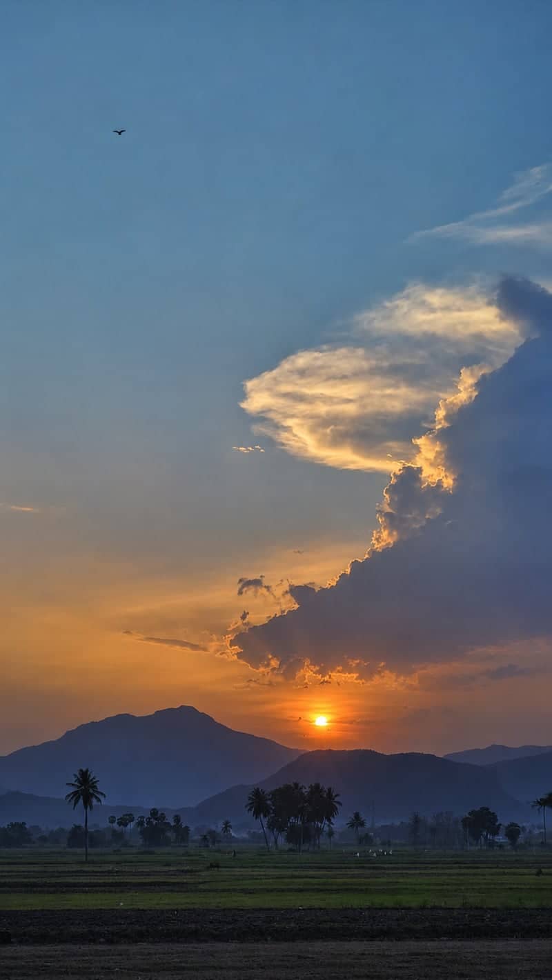 Vizianagaram Valley Sunset - Image 1