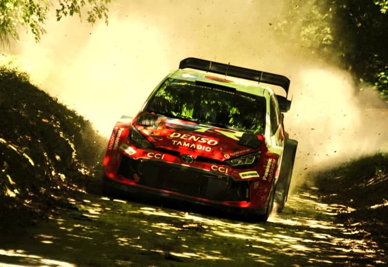 Forest Rally Stage - Image 1