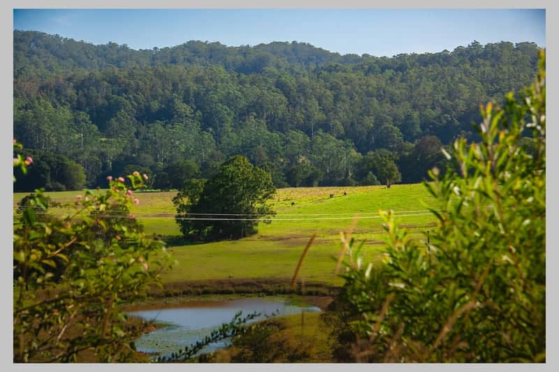 Stewarts River Valley View - Image 1