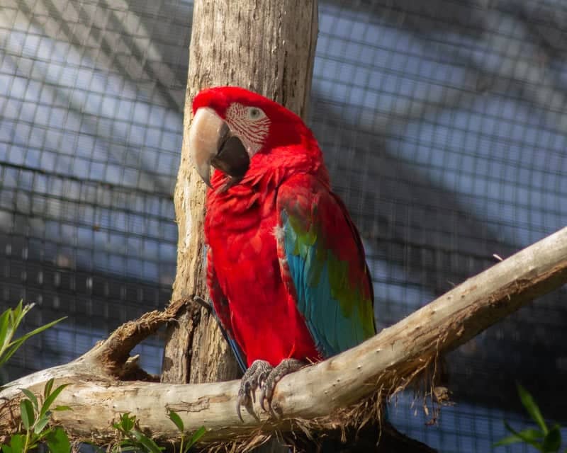 Blackpool Zoo - Image 1