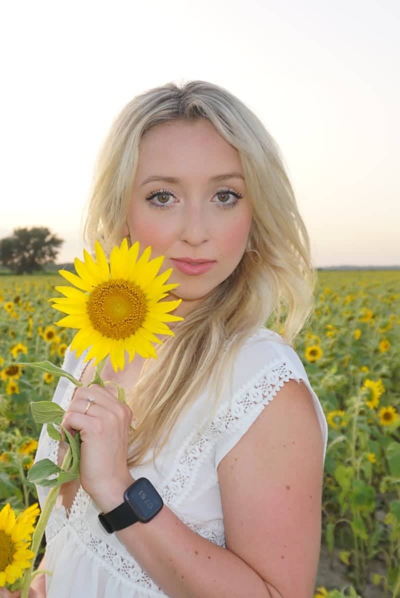 Welsh Sunflower Fields - Image 1