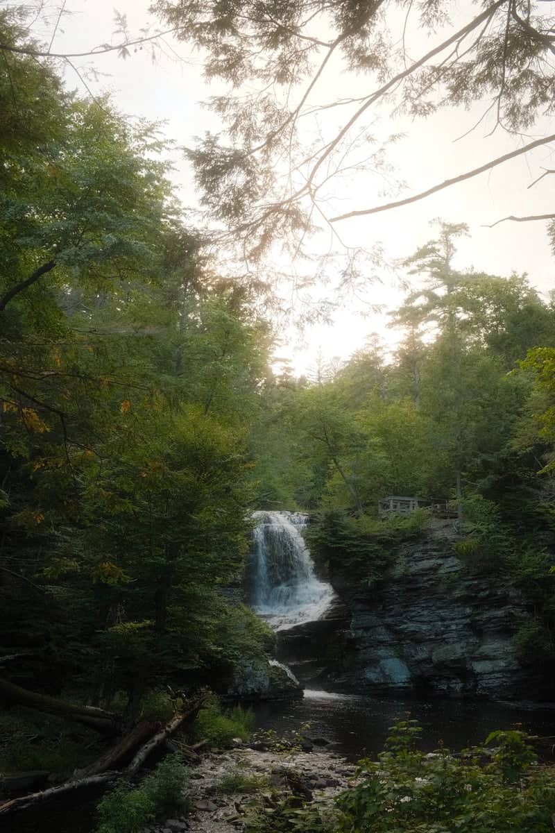 Bushkill Falls - Image 1