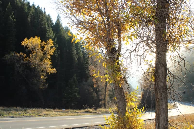 Little Cottonwood Canyon Entrance - Image 1