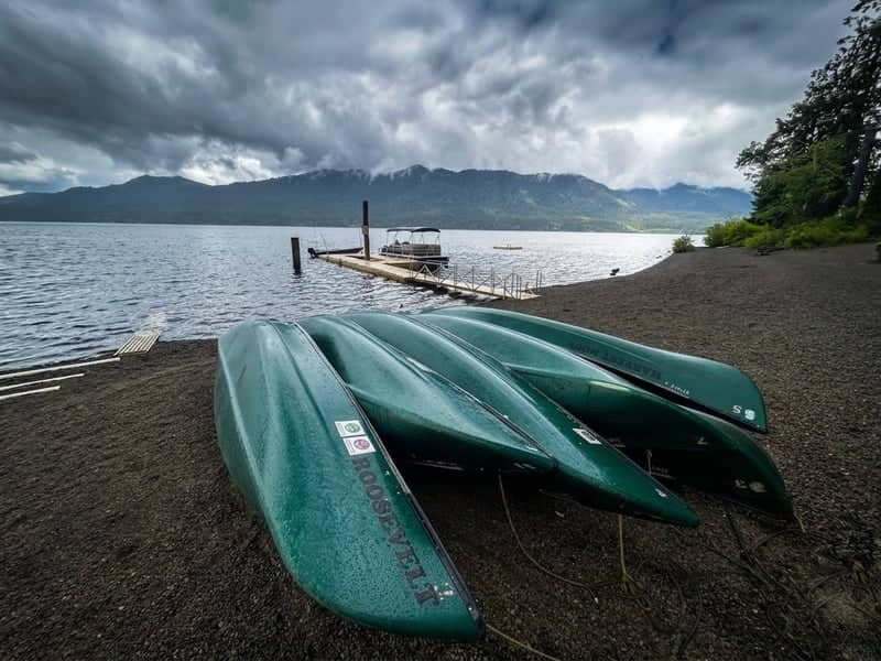 Lake Crescent Shoreline - Image 1