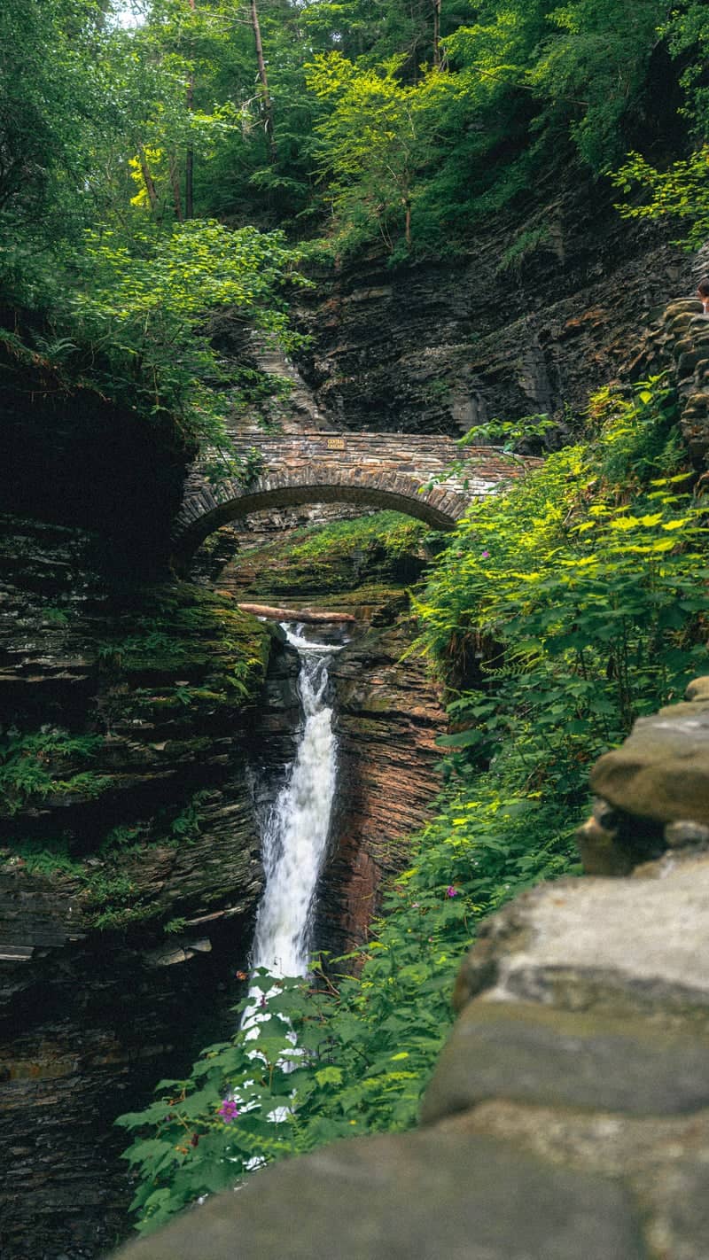 Watkins Glen State Park - Image 1