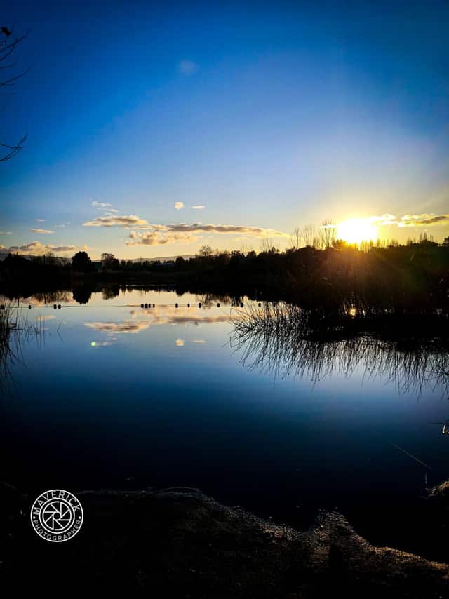Biobío Riverbank, Hualqui