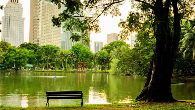 Lumphini Park - Image 1