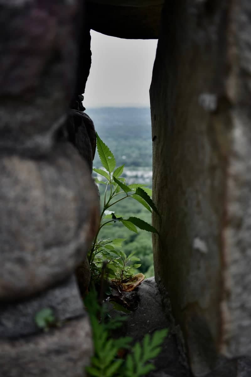 Bays Mountain Park Overlook - Image 1