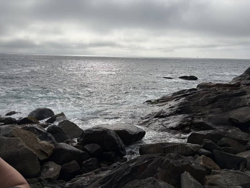 Morro Rock Shoreline - Image 1