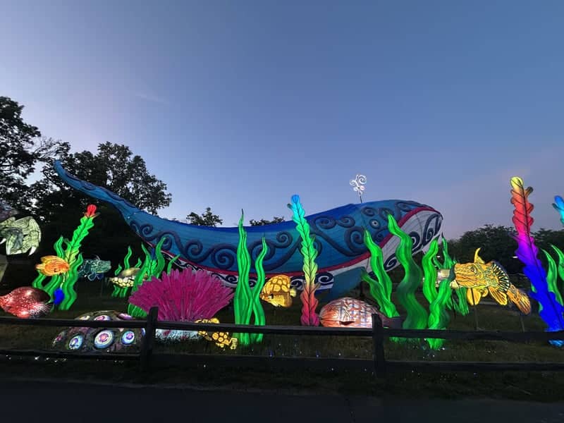 Potawatomi Zoo Lantern Festival - Image 1