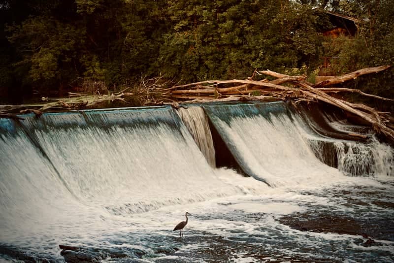 Horlick Dam on Root River - Image 1