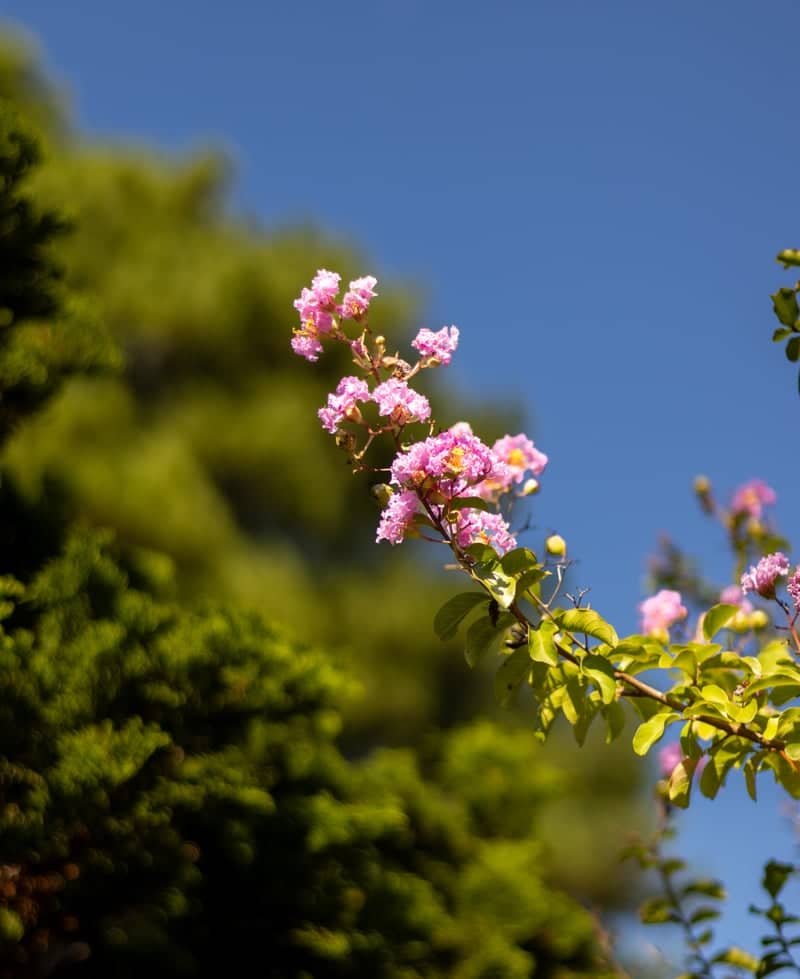 Norfolk Botanical Garden - Image 1
