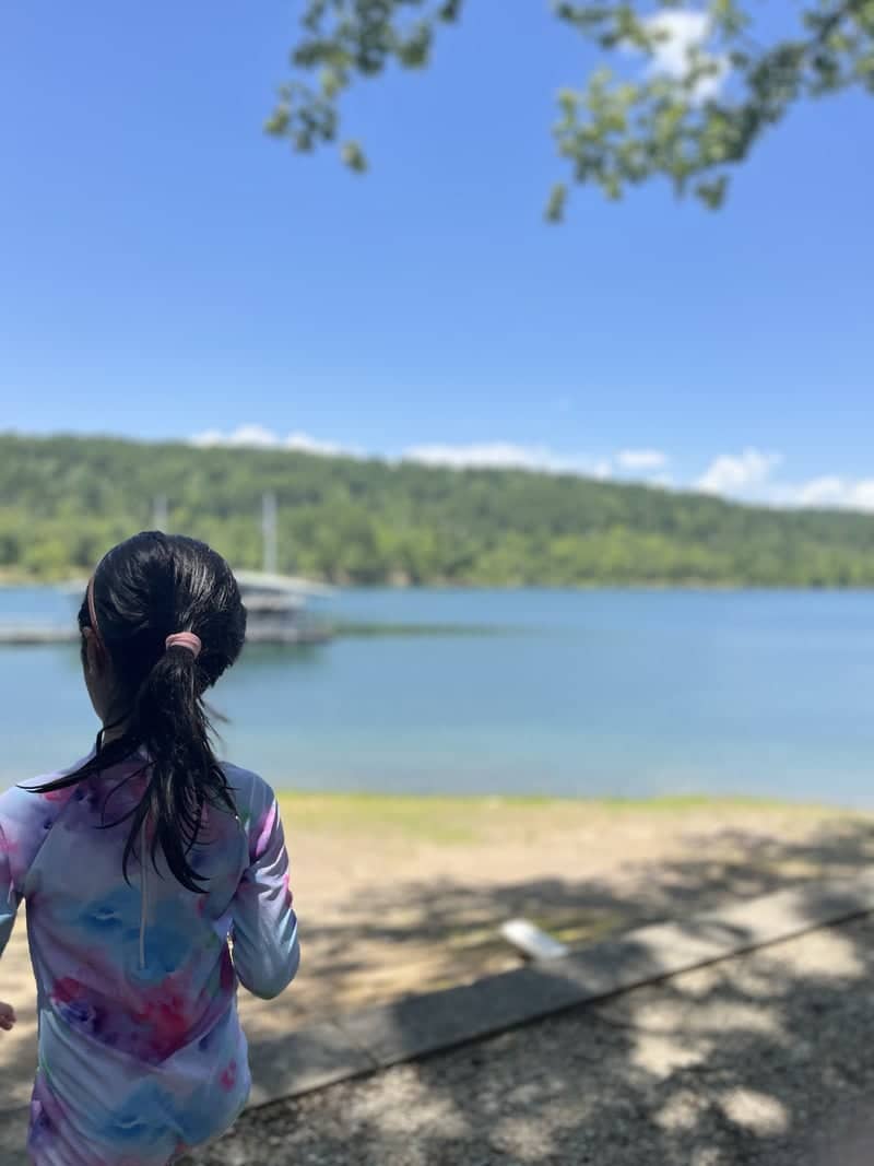 Lake Ouachita Shoreline - Image 1