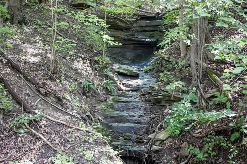 Timberline Creek Ravine - Image 1