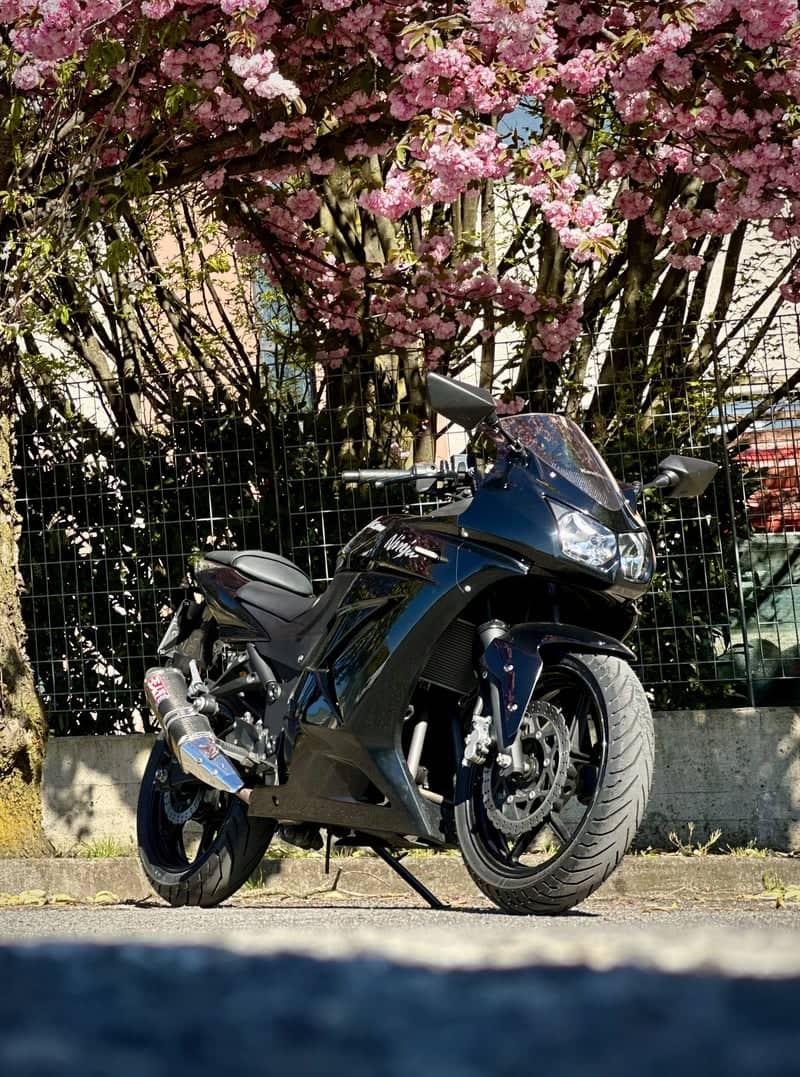Cherry Blossoms on Via Emilia - Image 1