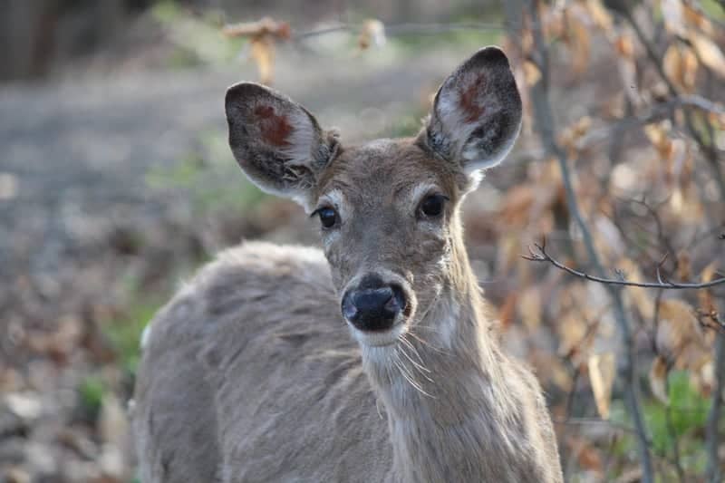 Mill Creek Park - Image 1