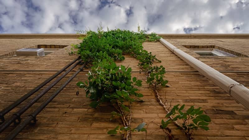Waterloo Downtown Brickwork - Image 1