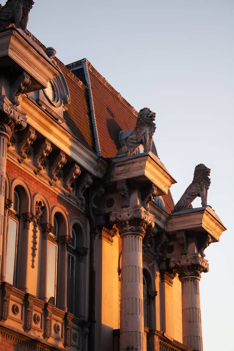 House with Lions (Casa cu Lei) - Image 1