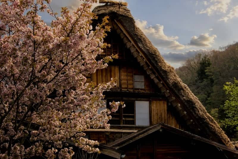 Traditional Minka at Komine Castle Park - Image 1