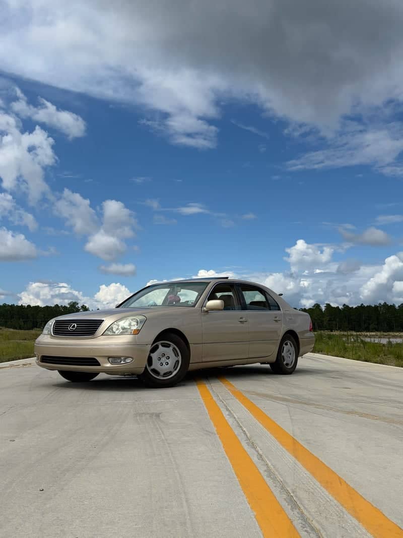 Gulf South Parkway Open Road - Image 1