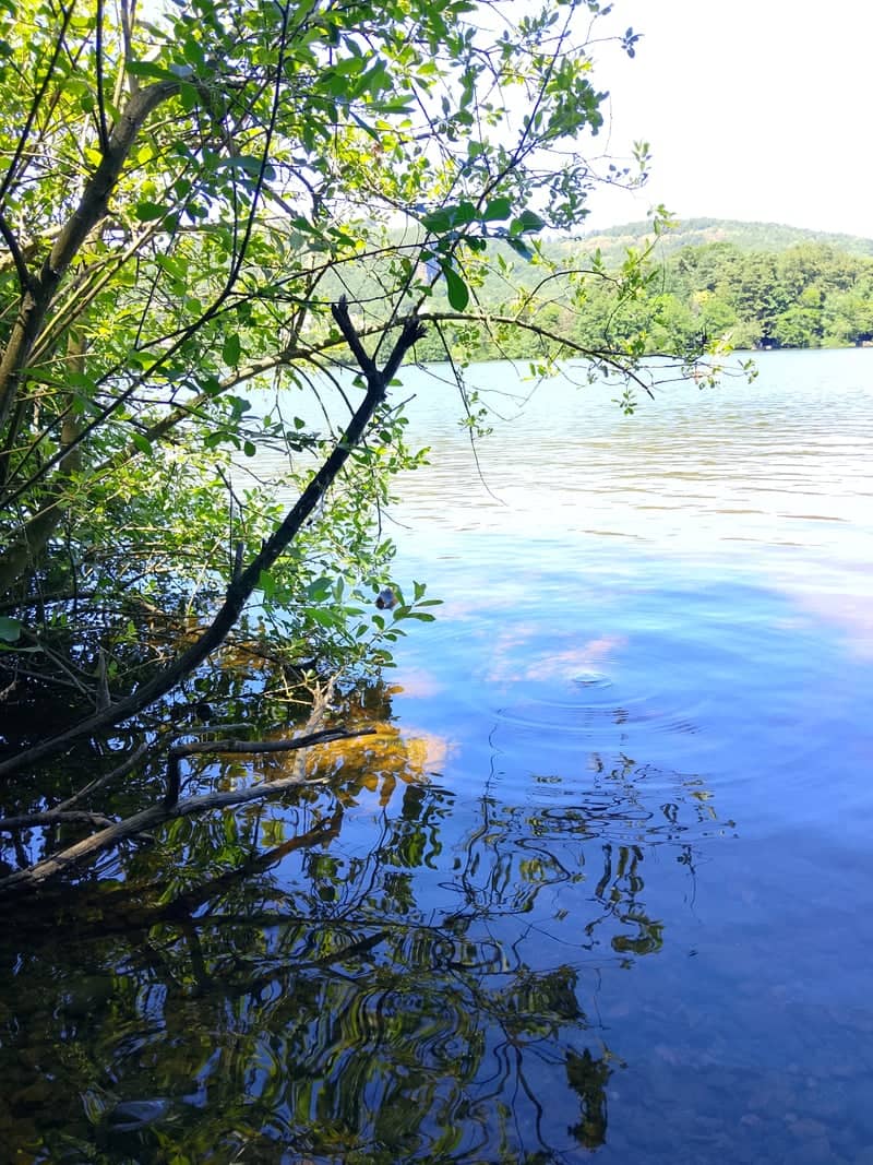 Lac Chambon - Image 1