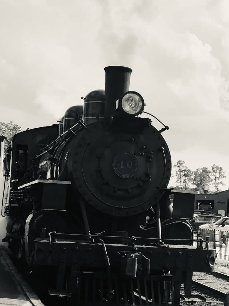 Essex Steam Train - Image 1