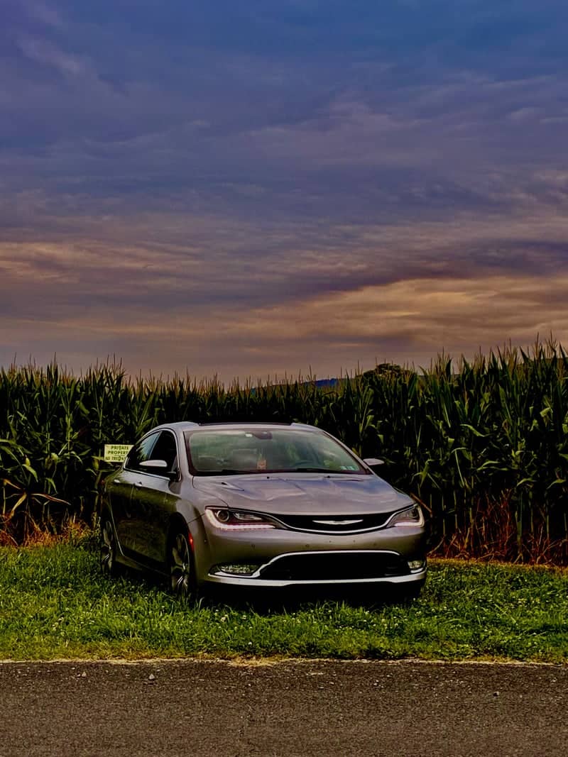 Tower City Rural Cornfield - Image 1