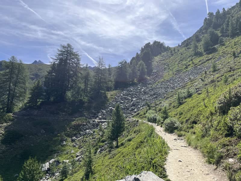 Talapé Mountain Trail - Image 1