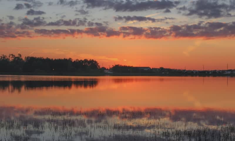 Bonita Lakes Park Shoreline - Image 1