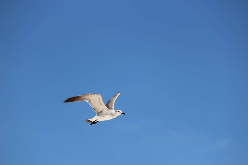 Panama City Beach Waterfront - Image 1