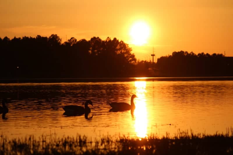 Bonita Lakes Park - Image 1