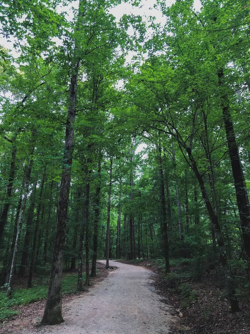 Bonita Lakes Park - Image 1