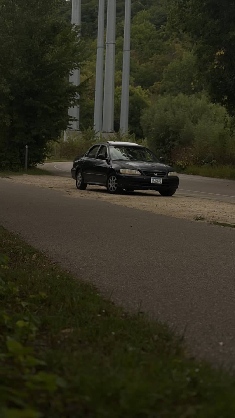 Lilydale Regional Park Roadside - Image 1