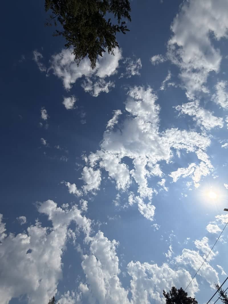 Nelson Sky View - Image 1