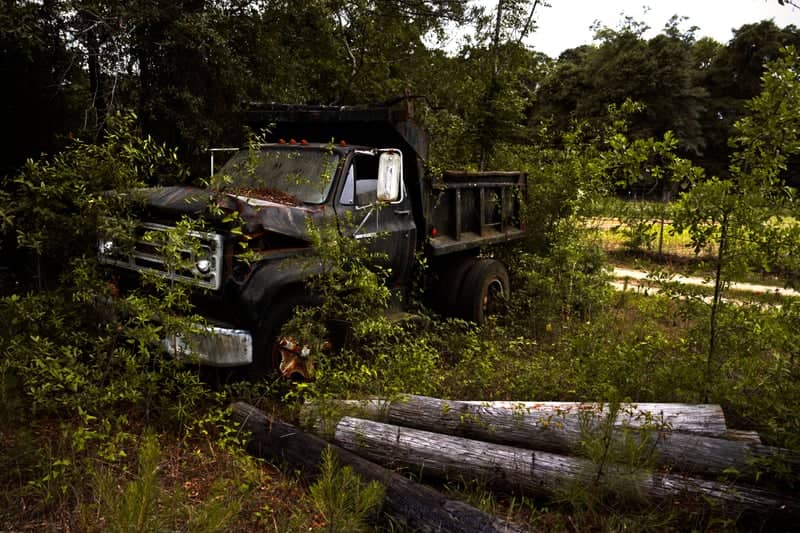 Abandoned Overgrown Dump Truck - Image 1